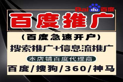 百度竞价SEM案例：揭秘高效广告投放技巧
